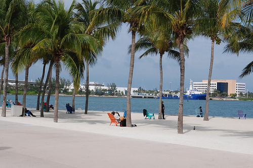 FS_Miami's profile picture. 