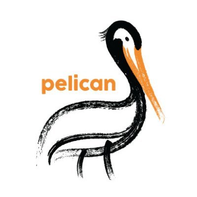 Pelican is a residential children’s home provider with over 20 years professional experience in caring for young people.