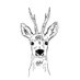 Capreolus GRNOM (@capreolus_grnom) Twitter profile photo Capreolus GRNOM (@capreolus_grnom) Twitter profile photo