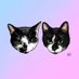 Fran and Fiona AKA Salt and Peppore (@franandfiona) Twitter profile photo Fran and Fiona AKA Salt and Peppore (@franandfiona) Twitter profile photo