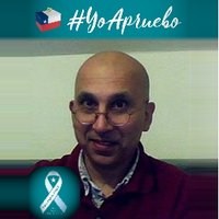 SebOeh: #ConstituciónMínima (@oeh_seb) 's Twitter Profile