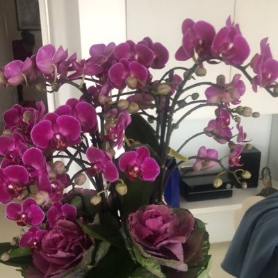 feyhanyasar's profile picture. 