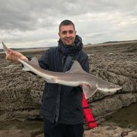 SHAWSY (@shawsy1927) 's Twitter Profile