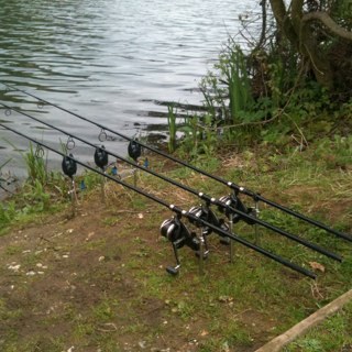 midkentcarper's profile picture. Boo Ya!!