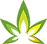 We create and conserve wonderful Cannabis genetics around the world to bring you a colorful range of artisan created bio-organically produced Cannabis seeds