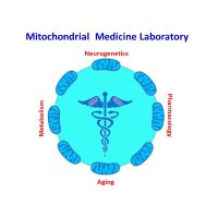 Mitochondrial Medicine(@Mito_Therapy) 's Twitter Profile Photo