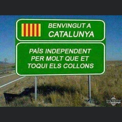 jepvallm's profile picture. Capullo