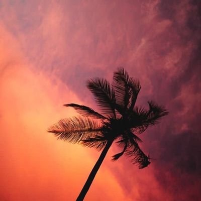 bohnixphoto1's profile picture. 