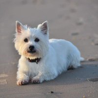 Leigh Murphy (@leighmu14008883) 's Twitter Profile