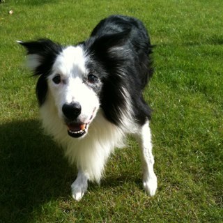 Moboo70's profile picture. Look to the living, love them & hold on