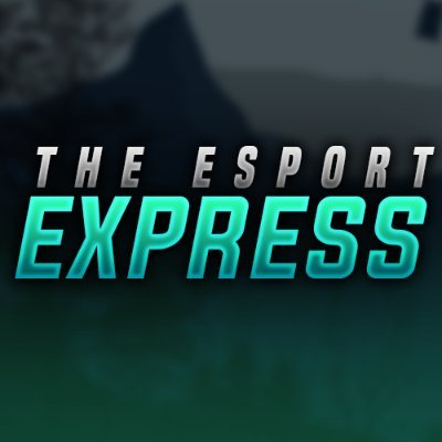 eSport Express RT Profile