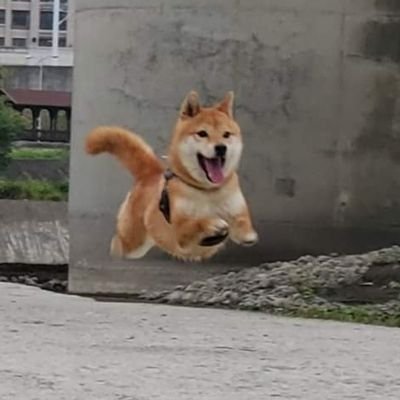 Lawrenc52057253's profile picture. 