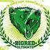 Big Red Ultimate (@bigredultimate) Twitter profile photo