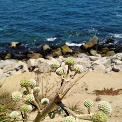 mleylaarthur's profile picture. Contra los abusos, la injusticia y las faltas de respeto en todo sus aspectos.