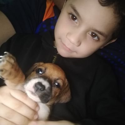 RuSSeLL83Mx's profile picture. Desarrollador web, PHP, MySQL, Presencia web, Telecomunicaciones y redes estructuradas