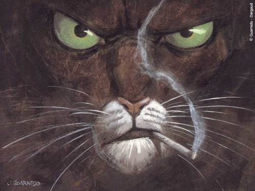 Pumanku's profile picture. 