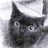 tomo_kat