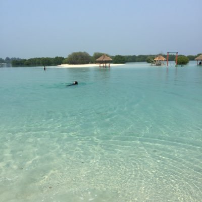 ivanrynel's profile picture. time heals