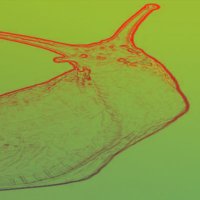 Big Wet Slug Slightly Less Miserable Bugger (@slugwet) 's Twitter Profile Photo Big Wet Slug Slightly Less Miserable Bugger (@slugwet) 's Twitter Profile Photo