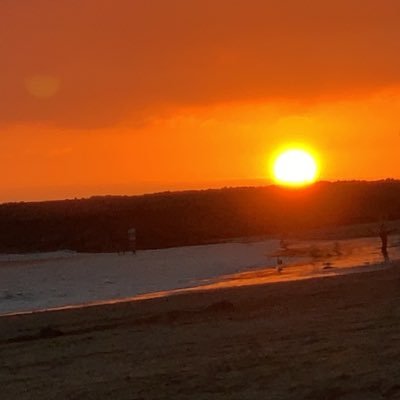 sgatlantis14's profile picture. 