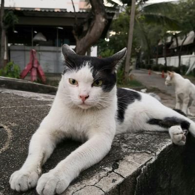 momemook413's profile picture. 