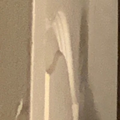 robloxfan59vgcp's profile picture. VGCP IS AMAZING ALSO FUCK @WeirdoSveta @RileFN @OmcGuy @missy_demonic @cdogggle