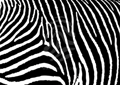 irenenietoo's profile picture. 