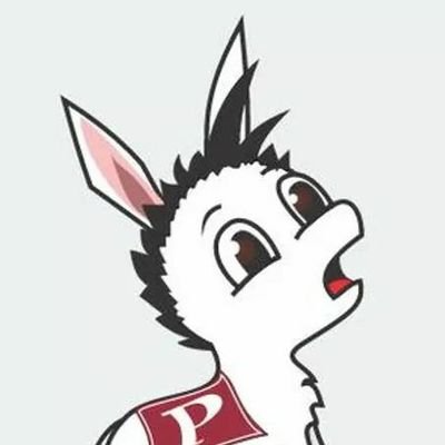 NoMemesPoli's profile picture. Politécnicos de corazón ❤️ Contacto: nomemespoli@gmail.com