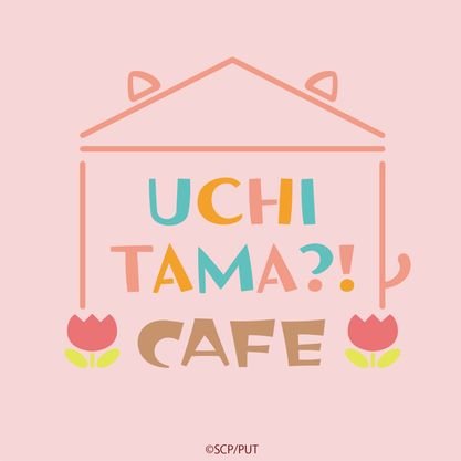 【公式】うちタマ?!カフェさんのプロフィール画像