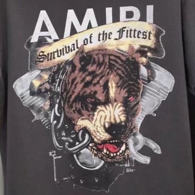 Jason_NTS's profile picture. 