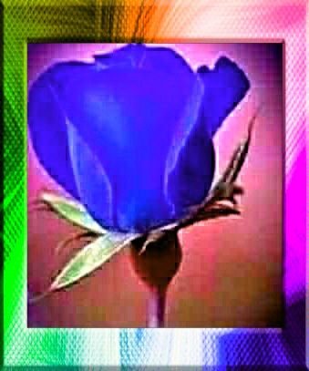 AngelesGarciaN6's profile picture. PASIÓN!! POR QUEEN, AC&DC, METÀLLICA.. U2.. TODOO!!! EL🤘Y... FOTÓGRAFA..POETA..Y.. PASIÓN Y DEFENSORA DE LOS ANIMALES Y LA NATURALEZA