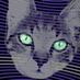 Horizontal Cat (@jcasey23) Twitter profile photo Horizontal Cat (@jcasey23) Twitter profile photo