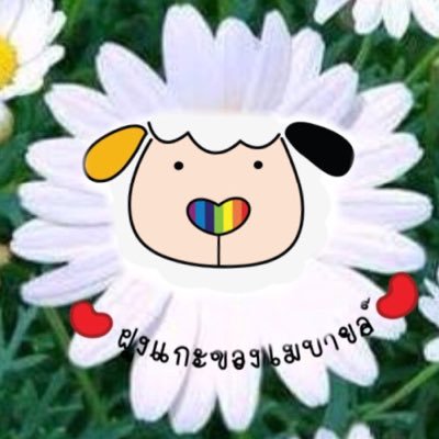SheepforMo's profile picture. สังกัดฝูงแกะของโมบายล์ คามิพี่โมบายๆๆๆๆๆ