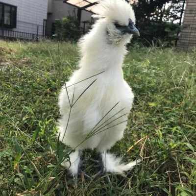 T23A5xoCkO6Ti9e's profile picture. 