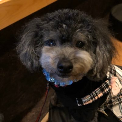 Chisarina1's profile picture. 車 、ビデオゲーム、女、酒をこよなく愛するオヤジ 。ゲームネタ、ご飯ネタ(ラーメン大好き)、個人的に良いと思ったらいいねしてます。自発フォローは基本しませんが、フォローされたらフォロバします。今はサンブレイクやってます。