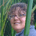 Terri Bates (@terribates) Twitter profile photo