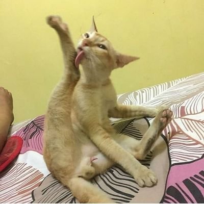 Wen945's profile picture. sedang nganu