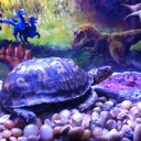 Charles Sams - @thatman69 - Twitter