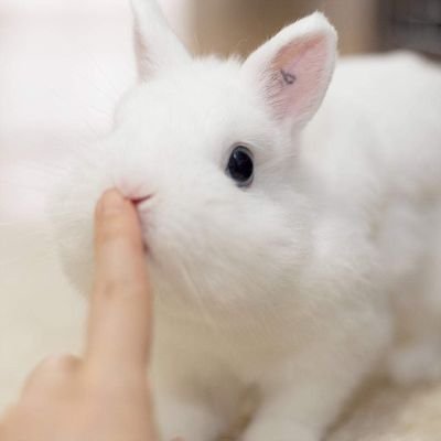 YyySimm's profile picture. 