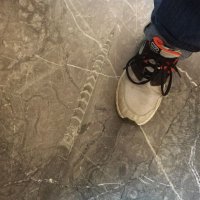 Urban Geology (@urban_geology) 's Twitter Profile