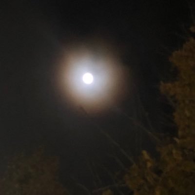 EnnaWoman's profile picture. 
