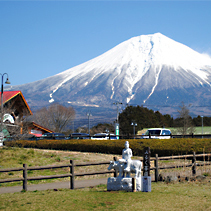 富士ミルクランドは朝霧高原（富士山の麓）にあります。
乳搾り体験などの体験やチーズ、地場野菜、ジェラートも楽しめたりロッジにペットとお泊まりもできます。（モチロン人間のみも可。富士山見えます。）レストランも充実！！
とにかく楽しめちゃう施設です。