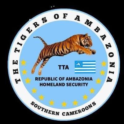 I am called Tiger1 An Ambazonian Beast that Settles for Nothing Than Total and Unconditional Independence for my Ambazonian/Southern Cameroons People.