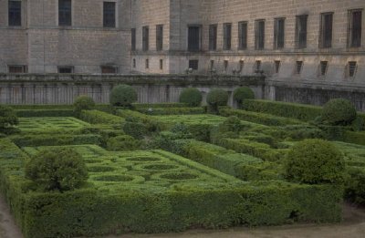 umer22120928's profile picture. kombolcha tvet