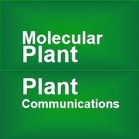 Molecular Plant & Plant Communications(@MPlantPCom) 's Twitter Profile Photo