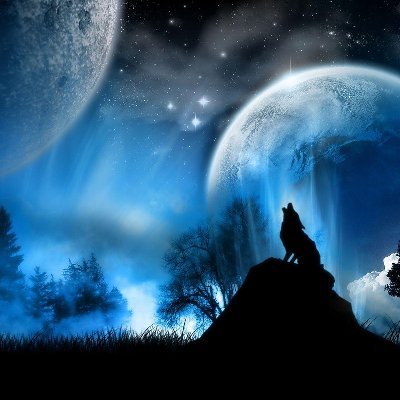 Nyman75866029's profile picture. Swede, no life, you miss all the shots you dont take. 
Code ''chair '' on https://t.co/5Q1pvilulA for a free 0.40$
or code '' chair '' on https://t.co/jxUWWNOFCW for a free 0.50 coins