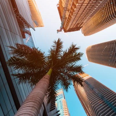 Imraan1411's profile picture. Different