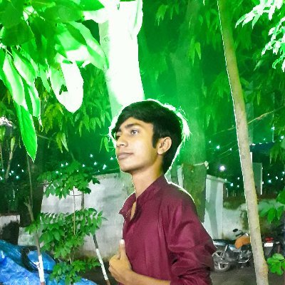 BhavikRatanpara's profile picture. SVNITian