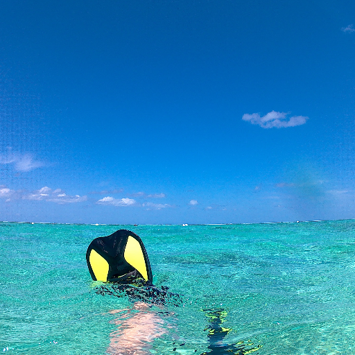 Gogh1880's profile picture. 旅、音楽、映画、ミュージカルがとても好き。Journey/Music/Musical/Painting/Photograph/Film/Shima-san