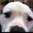 UrALiteBright's profile image